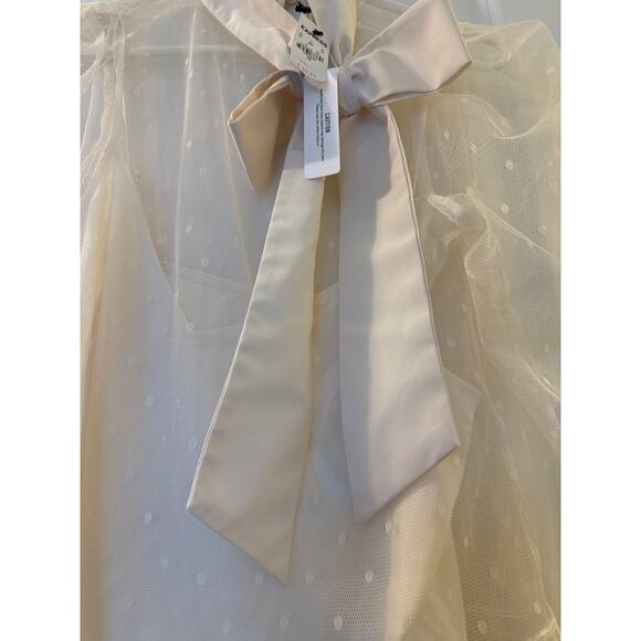 Express Tulle Polka Dot Mock Neck Puff Sleeve Blouse XS NWT Ivory White - Picture 7 of 8